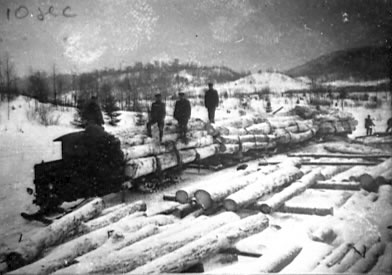 Le transport du bois l’hiver